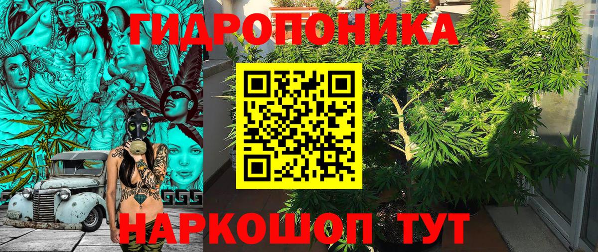 Конопля Ganja Барабинск